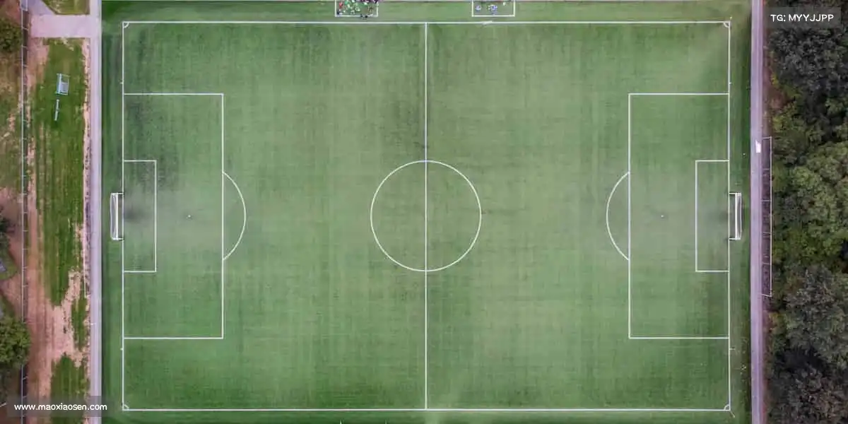 为什么选择我们